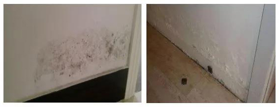 J9国际站备用【唯一】官方网站