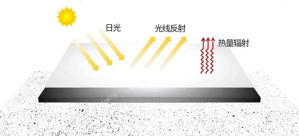 1_241015170117_1 J9国际站备用ã€å”¯ä¸€ã€‘官方网站